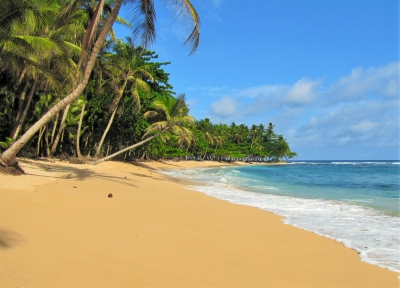 Preview: Best Time to Travel São Tomé and Príncipe